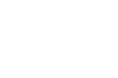 Serra Auto Park Akron OH