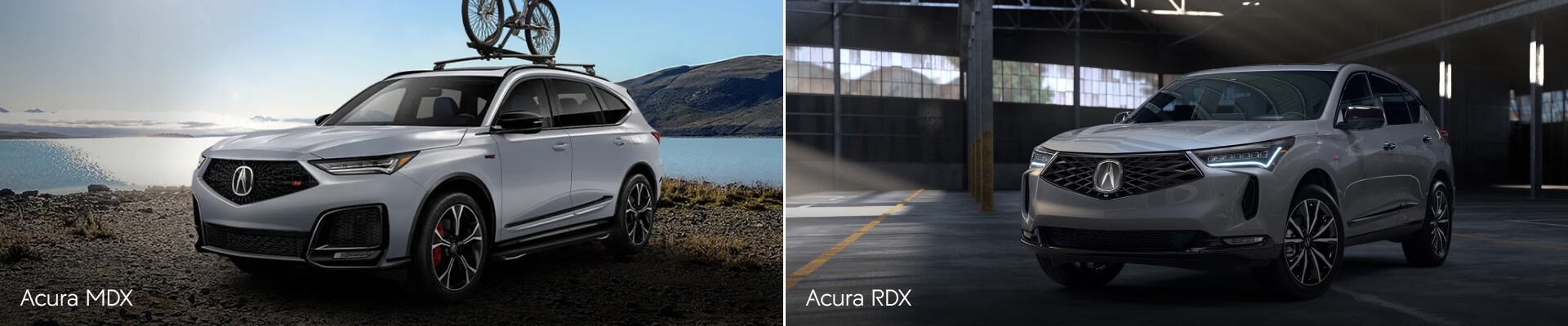 2025 Acura MDX Vs. RDX Comparison: Size, Specs & More