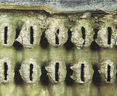 Rowe Lincoln Westbrook Westbrook ME