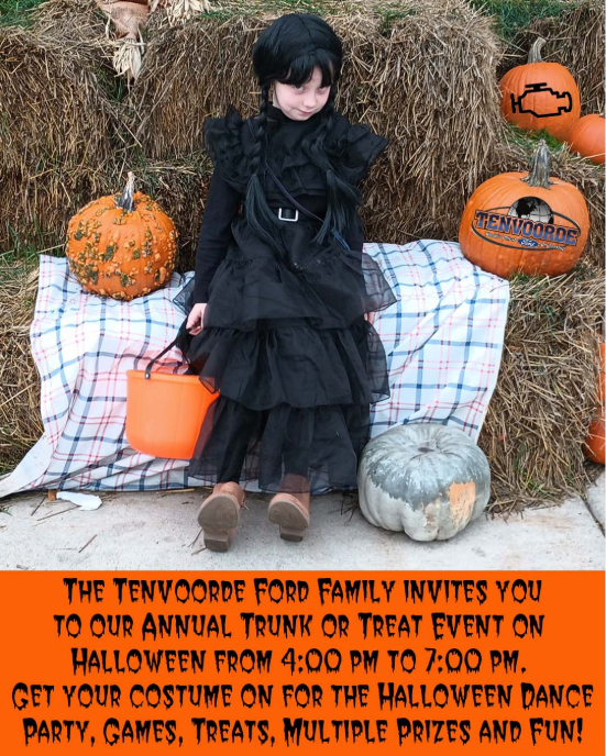 Tenvoorde Ford Inc Saint Cloud MN