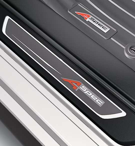 Illuminated Door Sill Trim