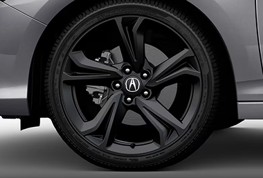 19-in Matte Black Accessory