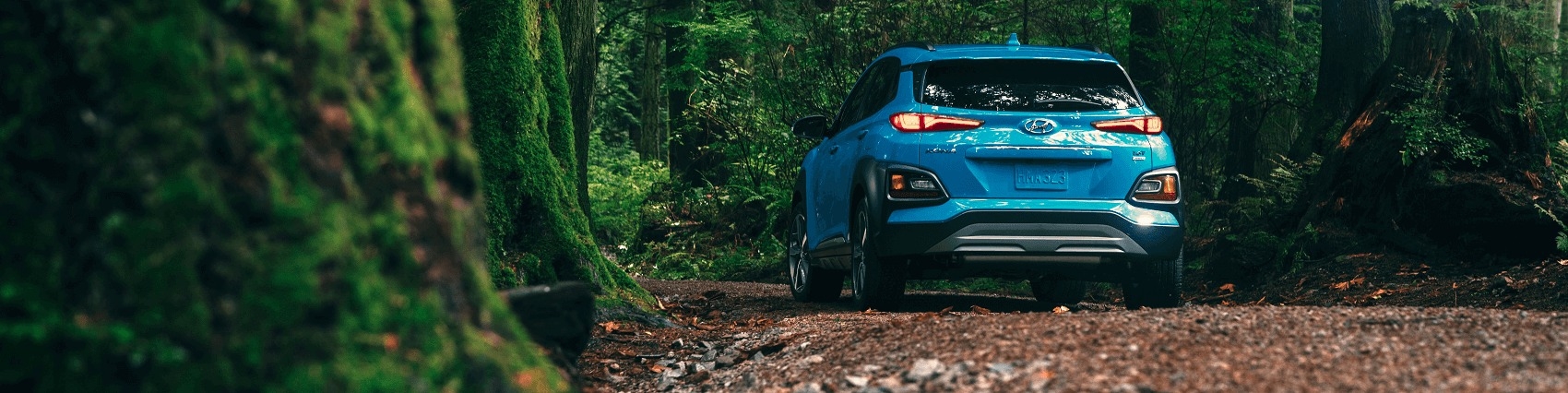 Lia Hyundai of Enfield Enfield CT