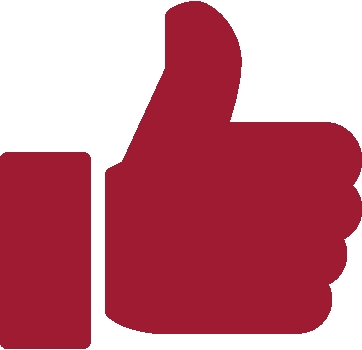 Magnifying Glass Icon