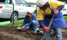 Subaru Share the Love Garden