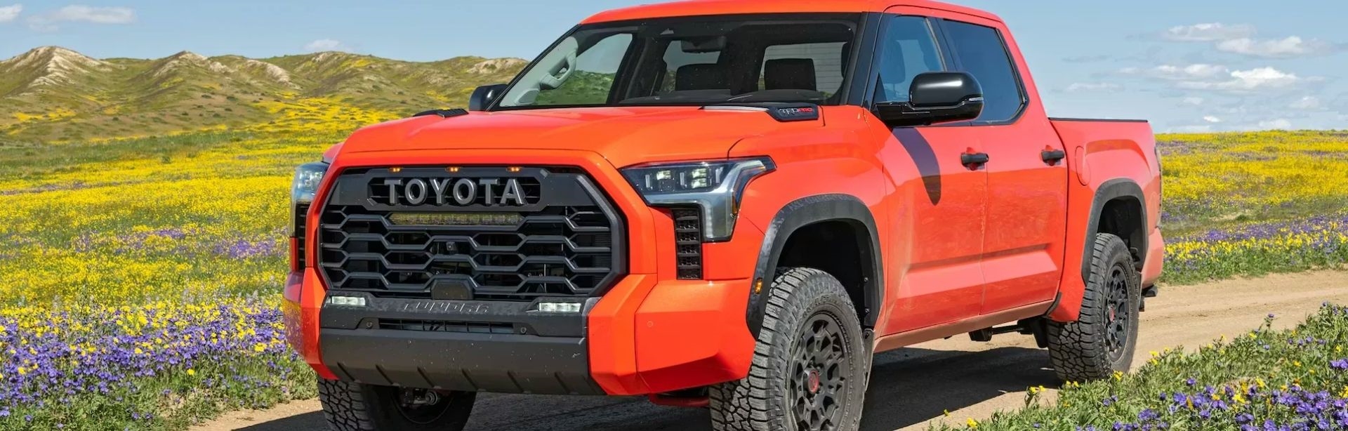 Buy Sell Finance Lease9 - Buying/Finance