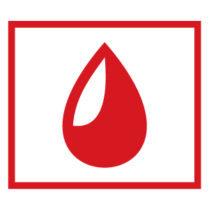 Route 22 Toyota Hillside NJ