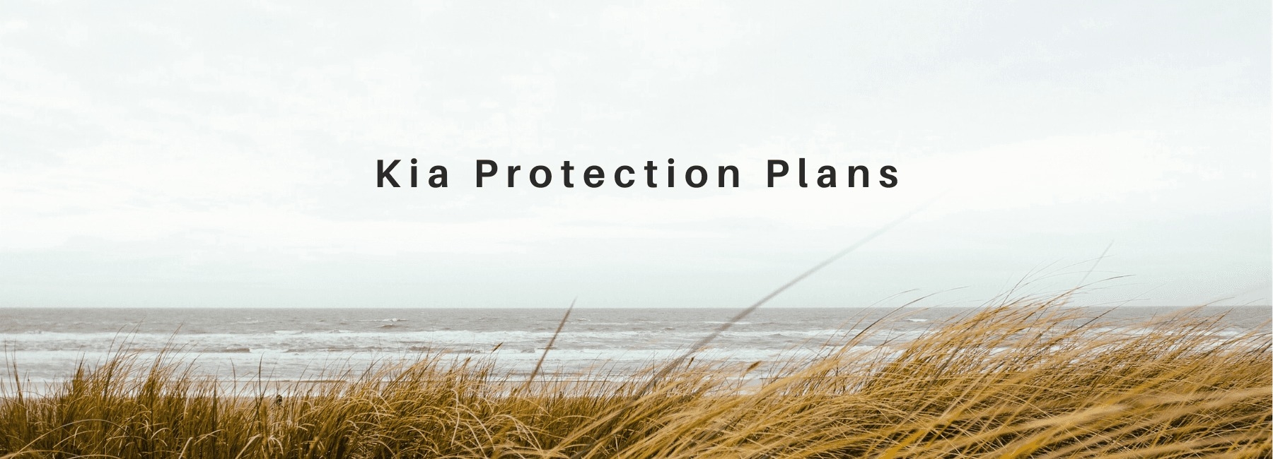 Kia Country of Hilton Head Bluffton SC