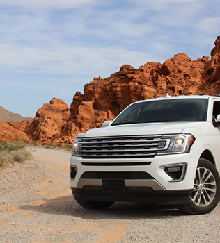 Angela Krause Ford Alpharetta GA