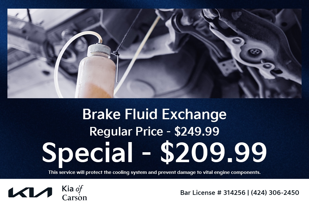 Brake Fluid Exchange