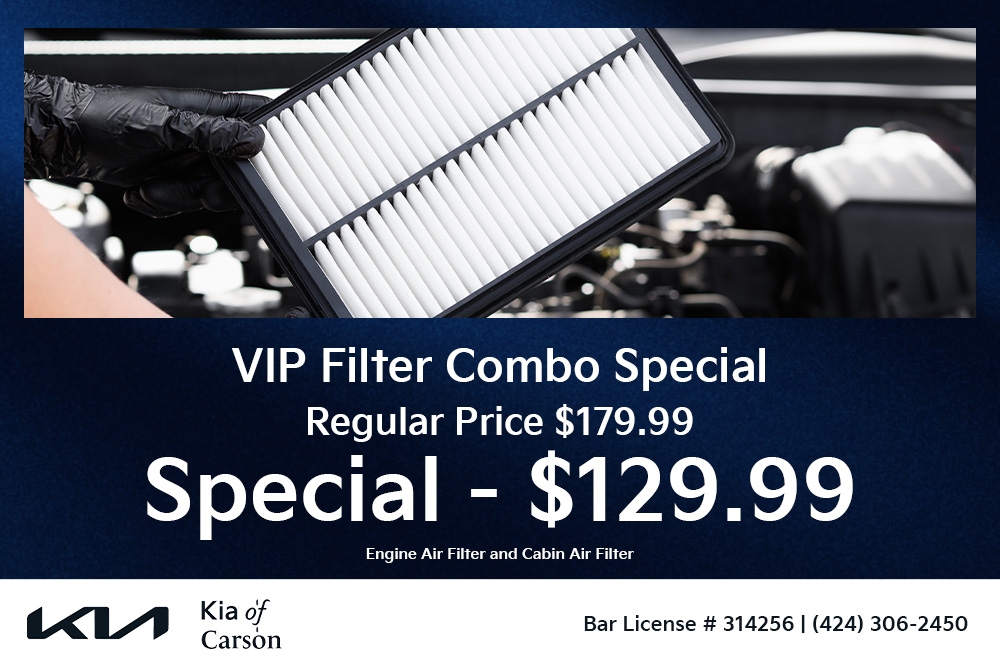 VIP Filter Combo Special