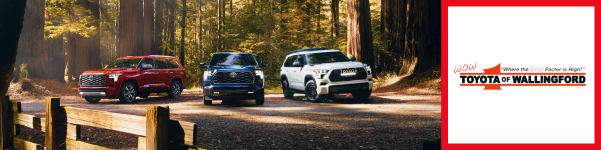 Toyota Sequoia New Haven, CT