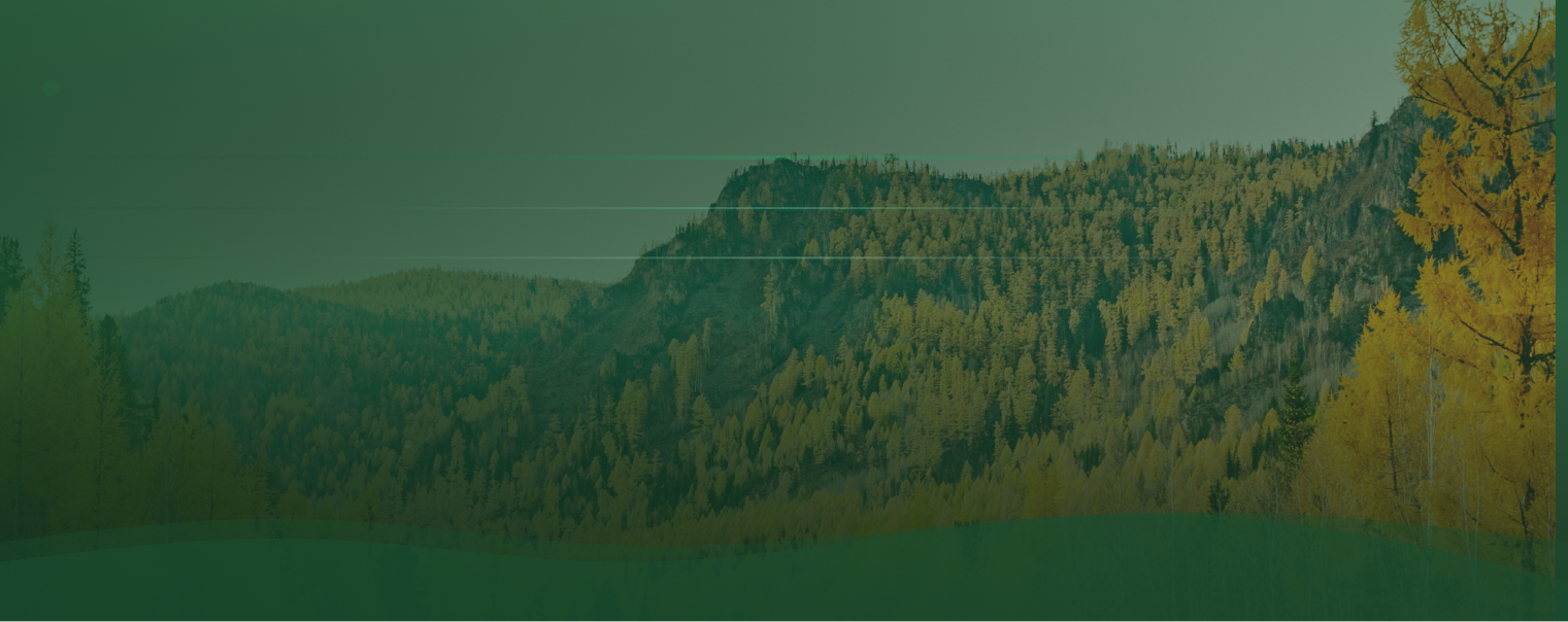 Findlay Subaru of Prescott Serving Flagstaff, AZ