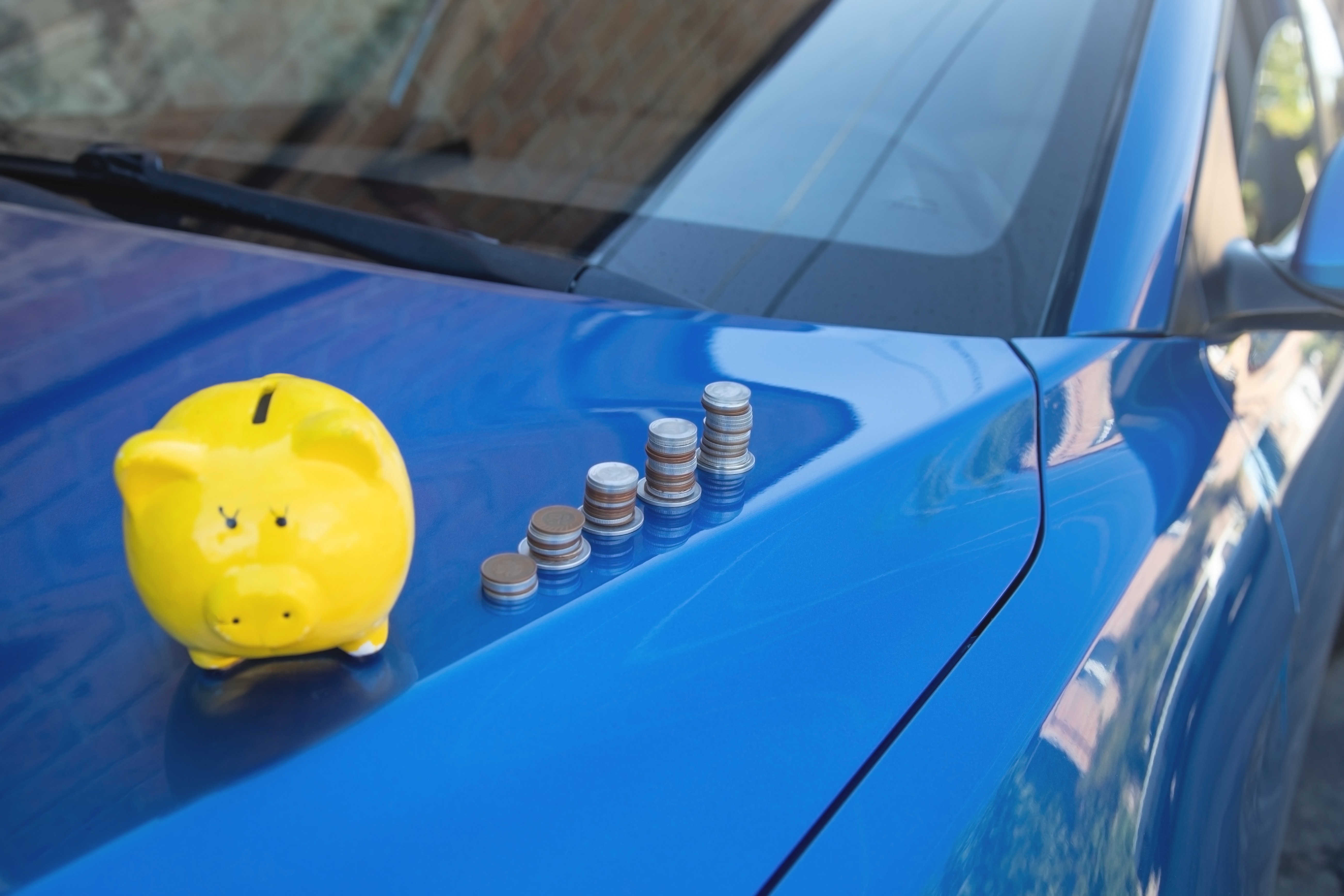 Honda Service Wild Card savings offer