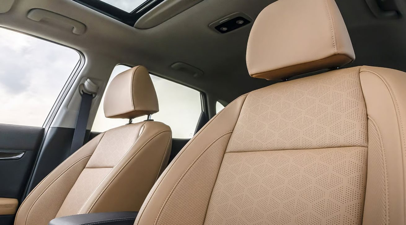 2026 Kia Seltos - Peltier Kia Tyler