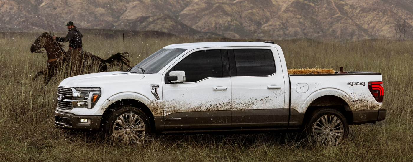 White 2026 Ford F-150 driving alongside a horse and rider