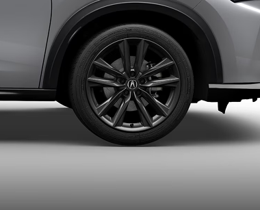 19-in Shark Gray Alloy Wheels