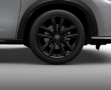 19-in Berlina Black Alloy Wheels