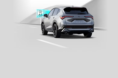 Traffic Sign Recognition