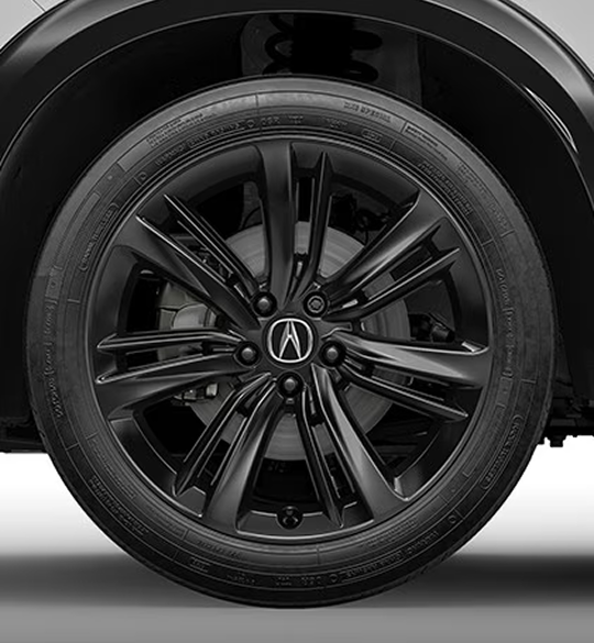 19-in Berlina Black Alloy Wheels