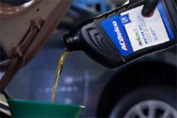 Oil and Filter Service