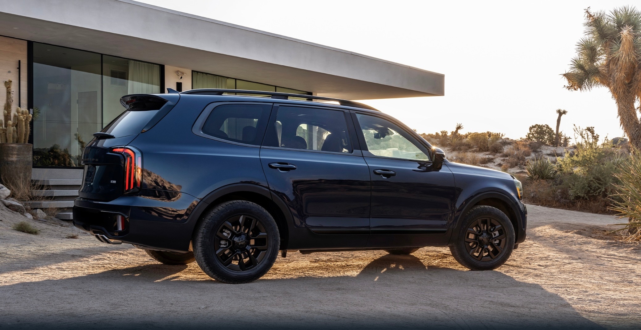 Kia SUV Desert Scene