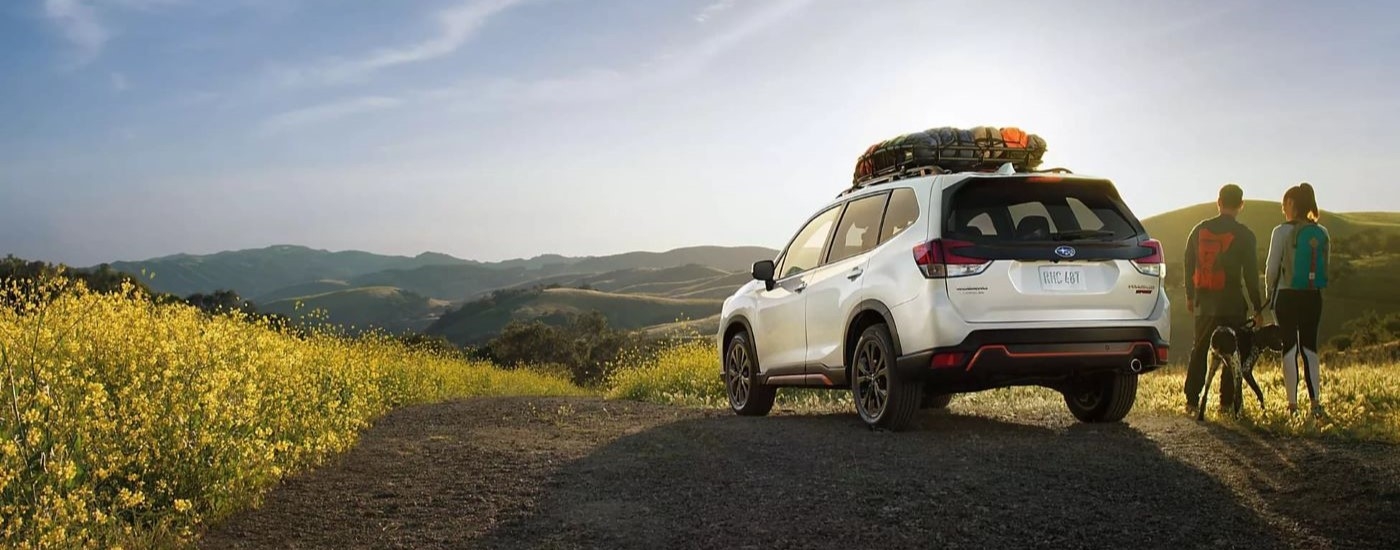 Close-up on the grille of a 2023 Subaru Forester.
