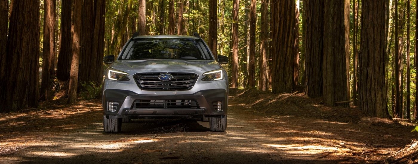 Grey 2022 Subaru Outback Onyx driving off-road through a forest.