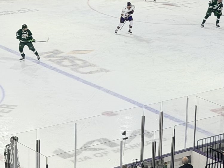 hockey team skating on ice