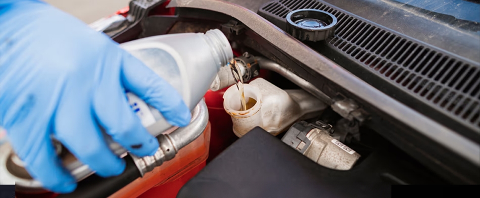 Brake Fluid Exchange