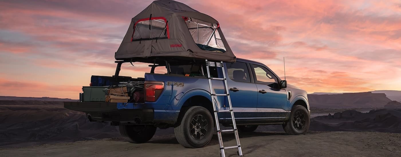 Rear of a dark blue 2026 Ford F-150 STX parked off-road.