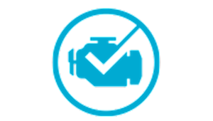 Check Engine Icon