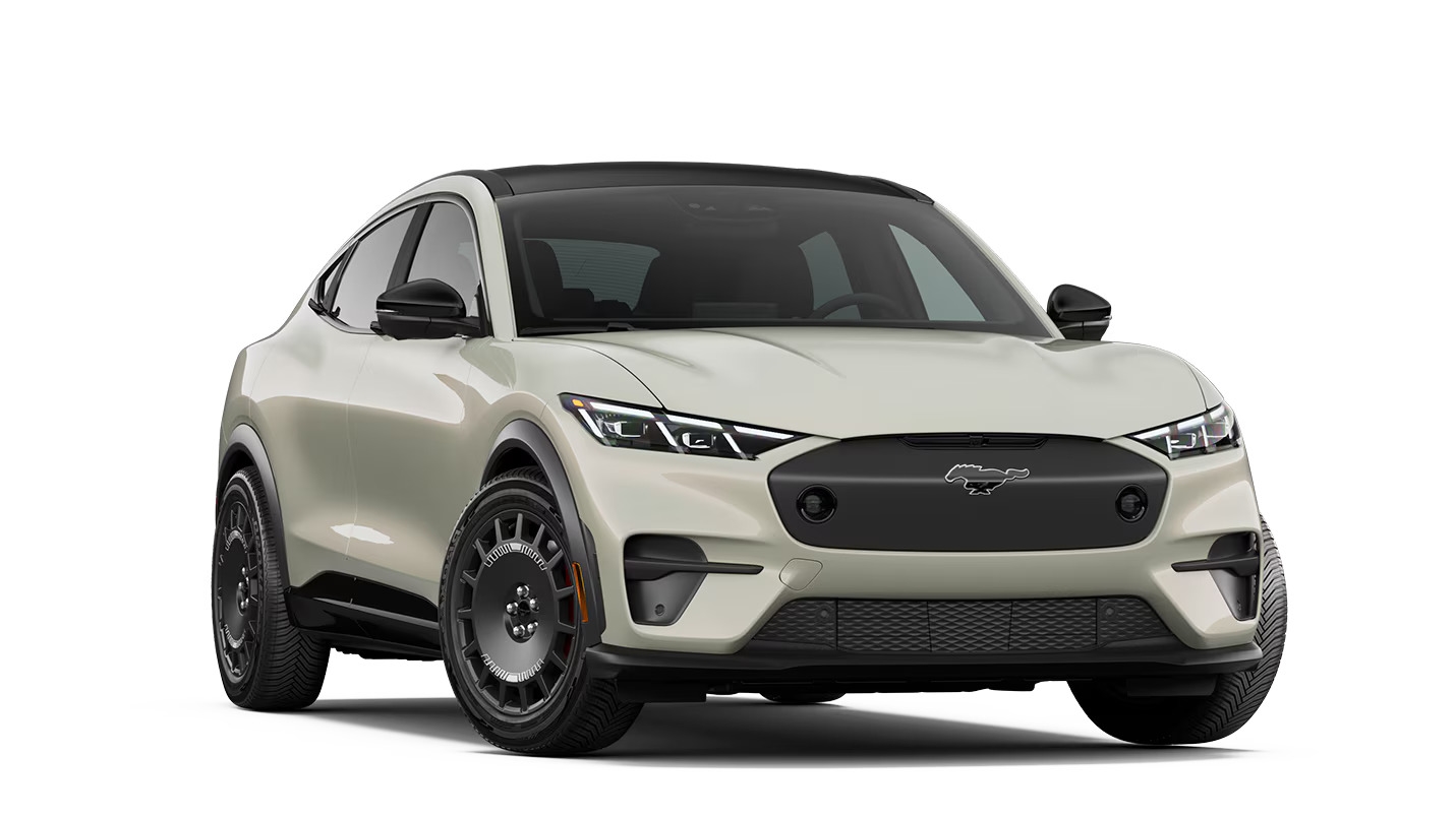 Mustang Mach-E Rally