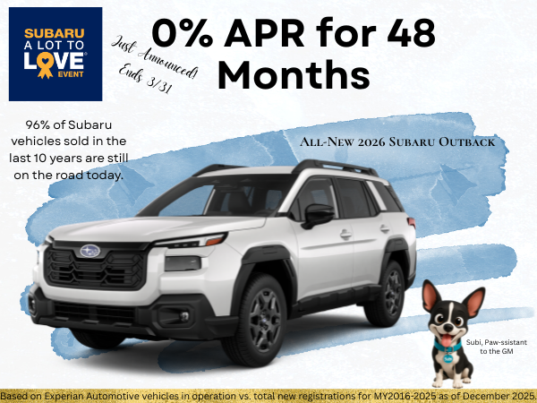 Subaru Outback Wilderness