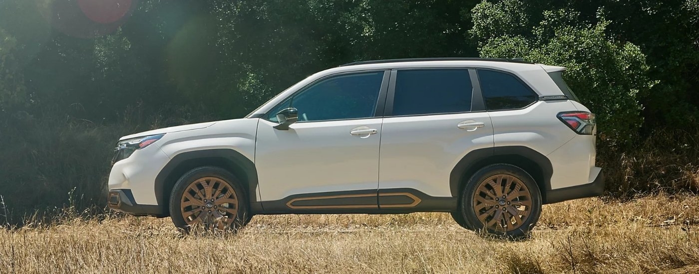 White 2025 Subaru Forester Sport parked in a clearing