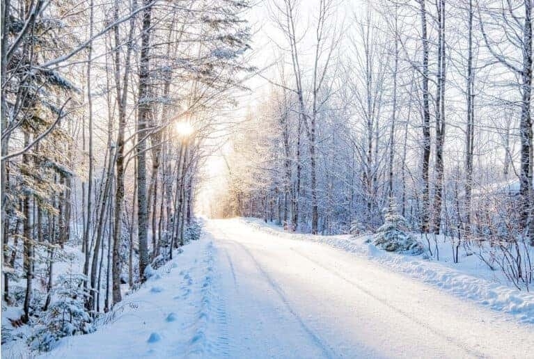 Winter Roads