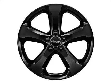 20-Inch High-Gloss Black