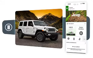 REMOTE VEHICLE OPERATIONS*