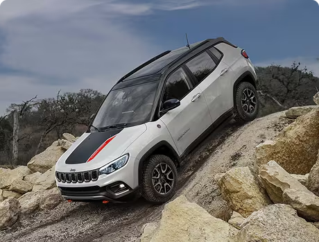 Hill Descent Control