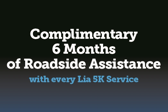 Complimentary 6 Months