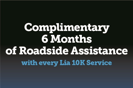 Complimentary 6 Months