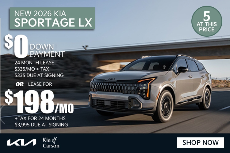 EV9 LIGHT LONG RANGE