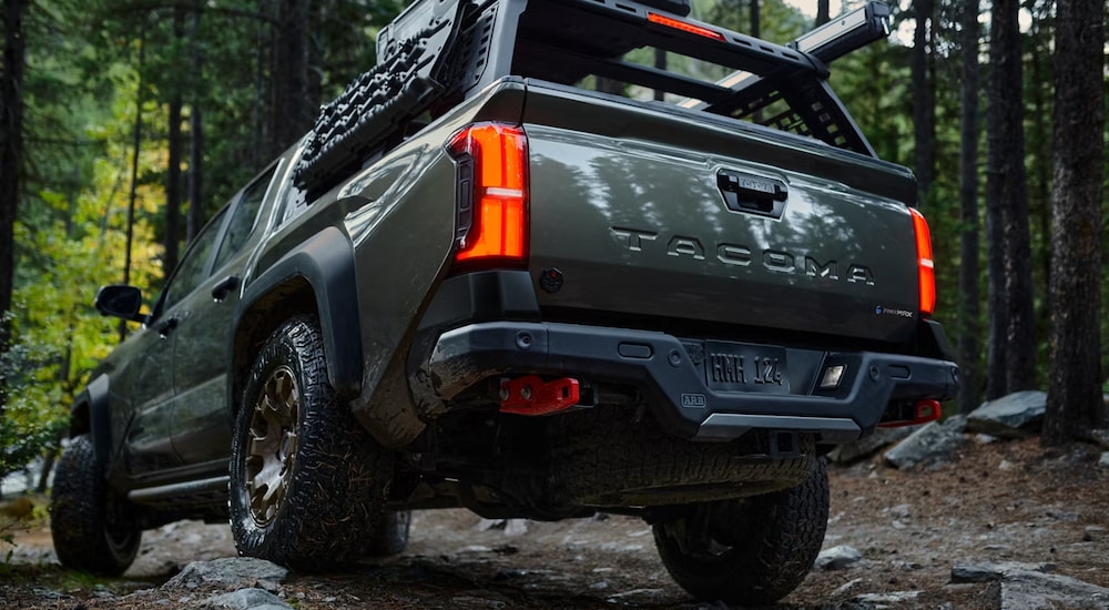 Rear of a grey 2026 Toyota Tacoma parked off-road in a forest.