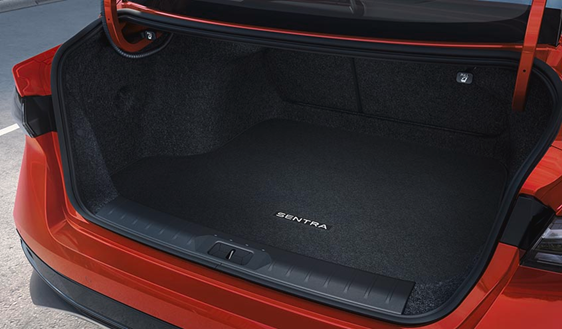 Cargo/Trunk Protector