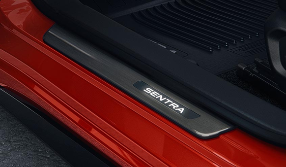 Illuminated Kick Plates