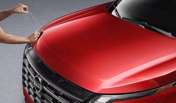 Clear Hood Protector