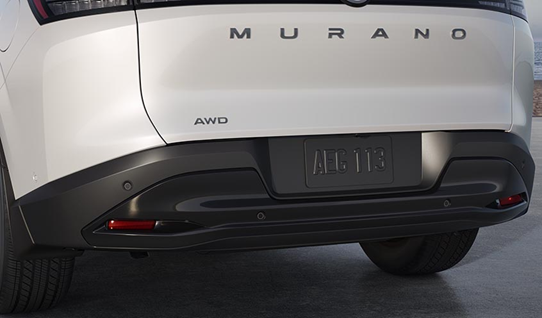 Black Rear Bumper Protector