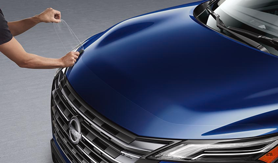 Clear Hood Protector