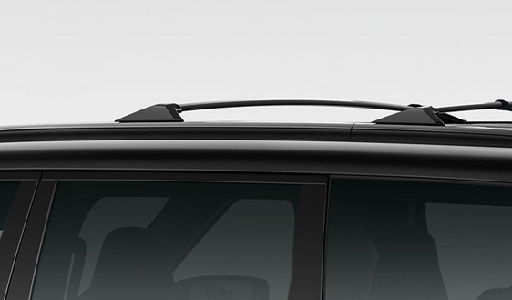 Black or Silver Roof Rails