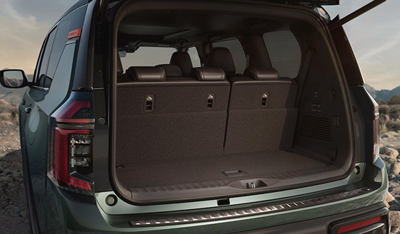 Rear Bumper Protector